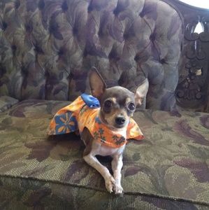 Meet your Posher, Angelica